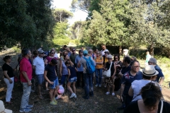 IMG_20190623_174151
