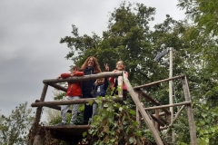 IMG-20191020-WA0008