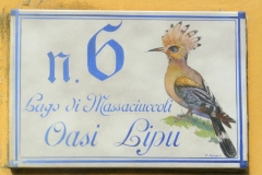 P1230081